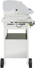Load image into Gallery viewer, Furniture Select-Barbecue à gaz avec 4 brûleurs en acier inoxydable Argenté