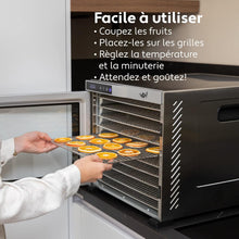 Load image into Gallery viewer, Vita5 Nobel Pro6 Deshydrateur Alimentaire avec 6 Plateaux en Inox - Déshydrateur avec Minuterie 24h et Température 35-75 °C - Deshydrateur Viande, Fruits, Champignons - 650W Déshydrateur Alimentaire