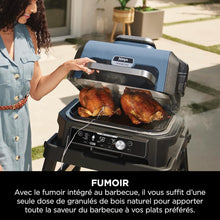 Load image into Gallery viewer, Ninja Woodfire Barbecue électrique et fumoir Pro XL avec thermomètre, barbecue et Air fryer d'extérieur 4-en-1 avec système Smart Cook et granulés Woodfire, portatif, gris/noir, OG850EU