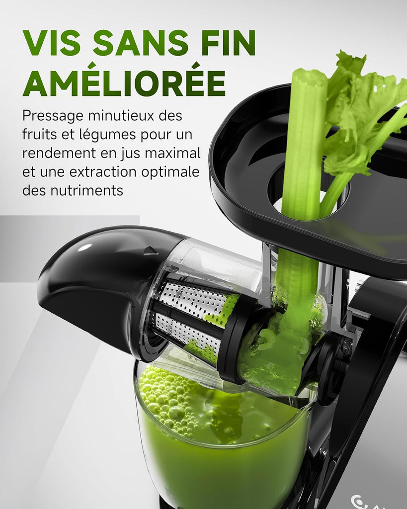 AMZCHEF Extracteur Jus - Extracteur de Jus de Fruits et Légumes - Presses-agrumes à Froid sans BPA avec 2 Tasses et Brosse - Fonction de Mastication Inversée pour Éviter les Blocages - Argent