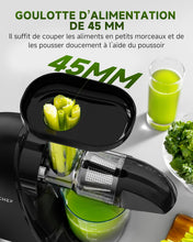 Load image into Gallery viewer, AMZCHEF Extracteur Jus - Extracteur de Jus de Fruits et Légumes - Presses-agrumes à Froid sans BPA avec 2 Tasses et Brosse - Fonction de Mastication Inversée pour Éviter les Blocages - Argent