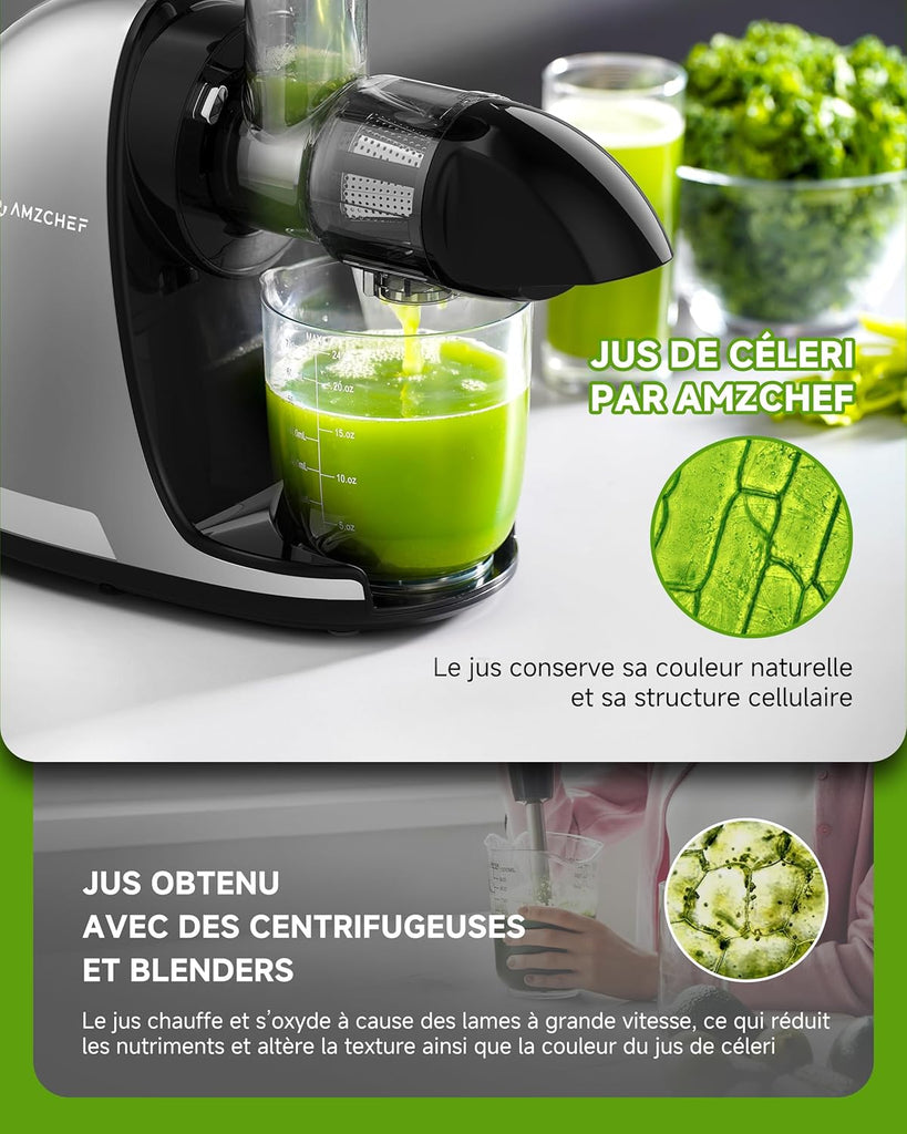 AMZCHEF Extracteur Jus - Extracteur de Jus de Fruits et Légumes - Presses-agrumes à Froid sans BPA avec 2 Tasses et Brosse - Fonction de Mastication Inversée pour Éviter les Blocages - Argent