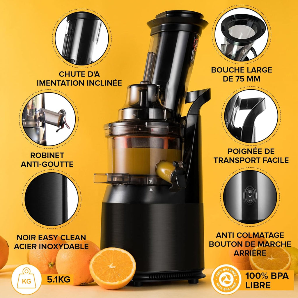 Slow Chewing, Slow Juicer, Fresh and Healthy Juice, Sorbet, Ice Cream, Mouth 75 mm, BPA Free, 240 Watts, Cold Pressure, Stainless Steel Black Fridja f1900