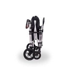 Load image into Gallery viewer, Chariot FUXTEC Family Cruiser l'original