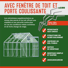 Load image into Gallery viewer, Gardebruk Serre de Jardin en Aluminium 7,63m³ abri extérieur pour Plantes légumes 250x190x195cm avec fenêtres
