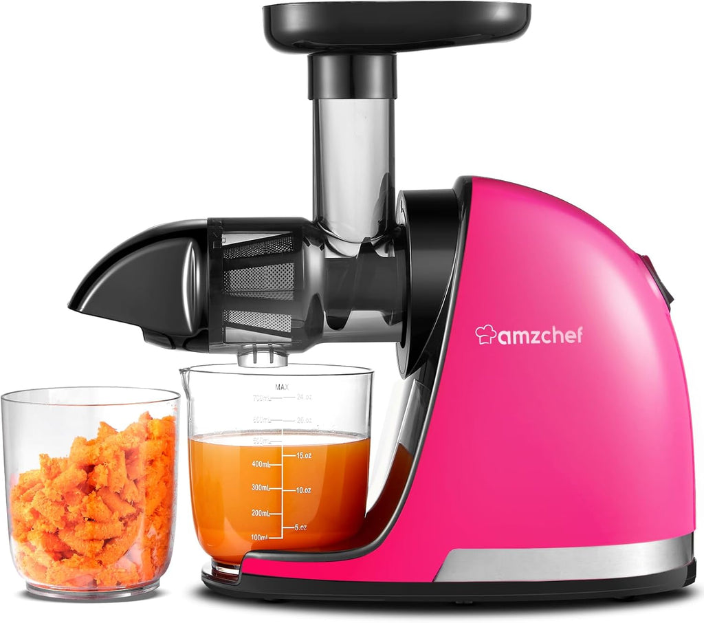 AMZCHEF Extracteur Jus - Extracteur de Jus de Fruits et Légumes - Presses-agrumes à Froid sans BPA avec 2 Tasses et Brosse - Fonction de Mastication Inversée pour Éviter les Blocages - Argent