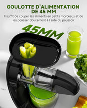 Load image into Gallery viewer, AMZCHEF Extracteur Jus - Extracteur de Jus de Fruits et Légumes - Presses-agrumes à Froid sans BPA avec 2 Tasses et Brosse - Fonction de Mastication Inversée pour Éviter les Blocages - Argent