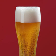 Load image into Gallery viewer, H.Koenig Tireuse à Bière compatible tous Fûts Universels Pressurisés de 5L Inox BW1778, Machine, Pompe, Pression domestique, Professionnelle, Universelle, Refroidissement intégré 4°C
