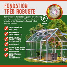 Load image into Gallery viewer, Gardebruk Serre de Jardin en Aluminium 7,63m鲁 abri extrieur pour Plantes lgumes 250x190x195cm avec fen锚tres