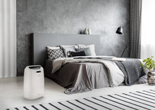 Load image into Gallery viewer, De'Longhi Tasciugo AriaDry Multi Dehumidifier DEXD216RF, Portable Dehumidifier with 3-Action Filtration, Dry Function, 16L/Day Moisture Absorption, R290, Removable Tank, White