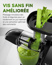 Load image into Gallery viewer, AMZCHEF Extracteur Jus - Extracteur de Jus de Fruits et Légumes - Presses-agrumes à Froid sans BPA avec 2 Tasses et Brosse - Fonction de Mastication Inversée pour Éviter les Blocages - Argent
