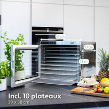 Load image into Gallery viewer, Vita5 Nobel Pro6 Deshydrateur Alimentaire avec 6 Plateaux en Inox - Déshydrateur avec Minuterie 24h et Température 35-75 °C - Deshydrateur Viande, Fruits, Champignons - 650W Déshydrateur Alimentaire