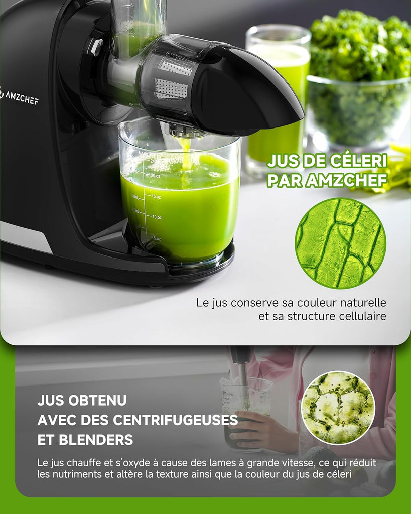 AMZCHEF Extracteur Jus - Extracteur de Jus de Fruits et Légumes - Presses-agrumes à Froid sans BPA avec 2 Tasses et Brosse - Fonction de Mastication Inversée pour Éviter les Blocages - Argent