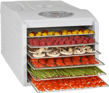 Load image into Gallery viewer, Déshydrateur Fruits Et Légumes 6 Plateaux 500w - KYS-333B