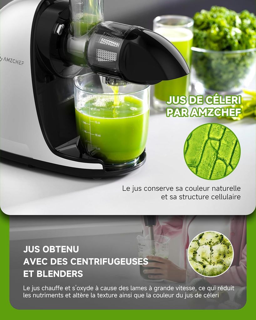 AMZCHEF Extracteur Jus - Extracteur de Jus de Fruits et Légumes - Presses-agrumes à Froid sans BPA avec 2 Tasses et Brosse - Fonction de Mastication Inversée pour Éviter les Blocages - Argent