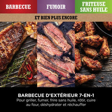 Load image into Gallery viewer, Ninja Woodfire Barbecue électrique et fumoir Pro XL avec thermomètre, barbecue et Air fryer d'extérieur 4-en-1 avec système Smart Cook et granulés Woodfire, portatif, gris/noir, OG850EU
